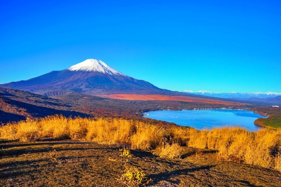 山梨・鉄砲木ノ頭