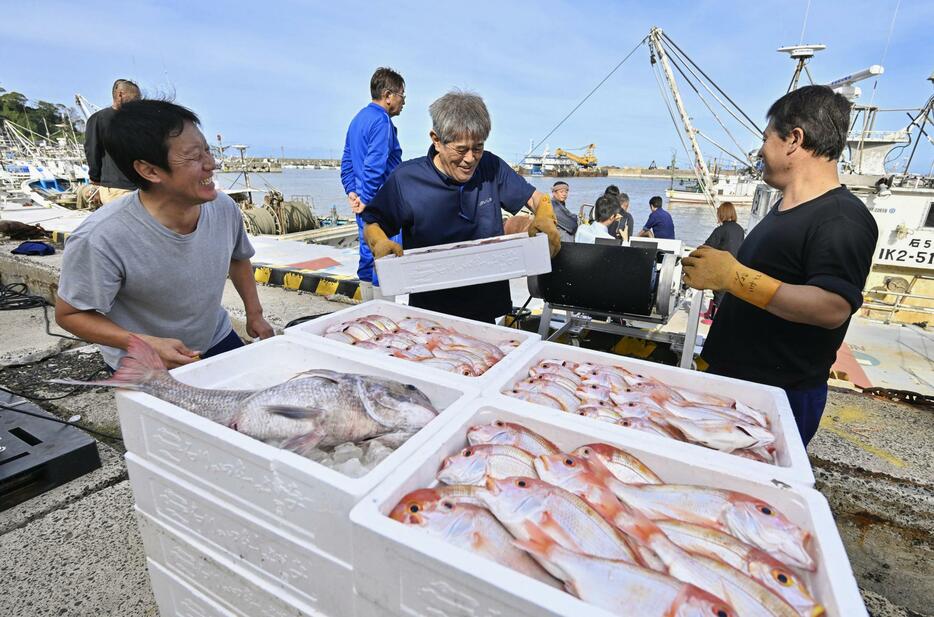 輪島港に水揚げされる魚。能登半島地震後初めて出荷された＝31日午後、石川県輪島市