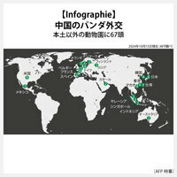 【Infographie】中国のパンダ外交