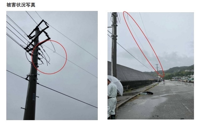 被害を受けた電線（県の報道発表資料から）