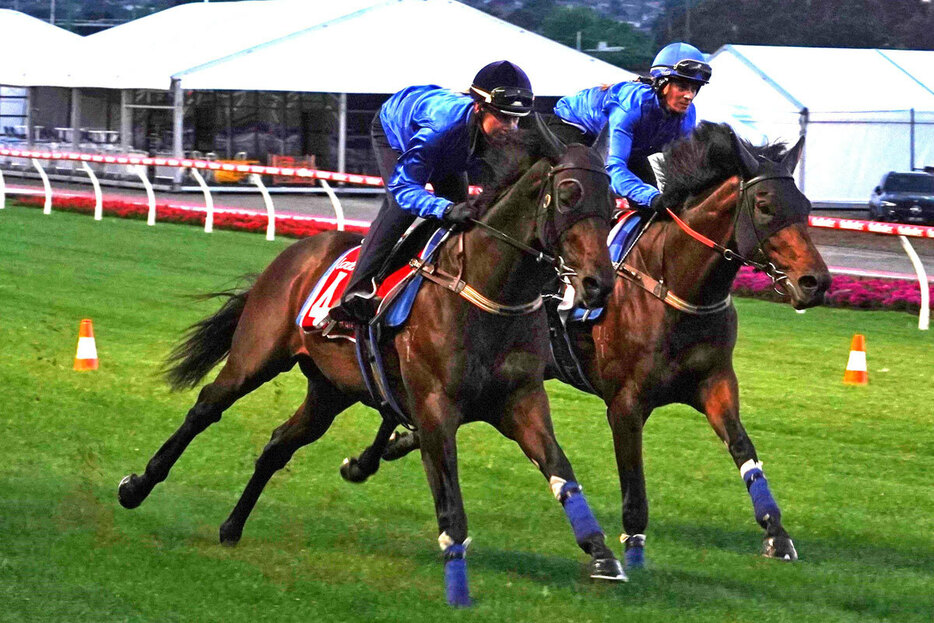 不気味な３歳馬ブロードサイディング（平松さとし氏提供）