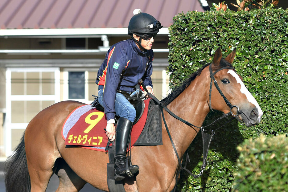 オークス馬チェルヴィニアに２つの疑問が…