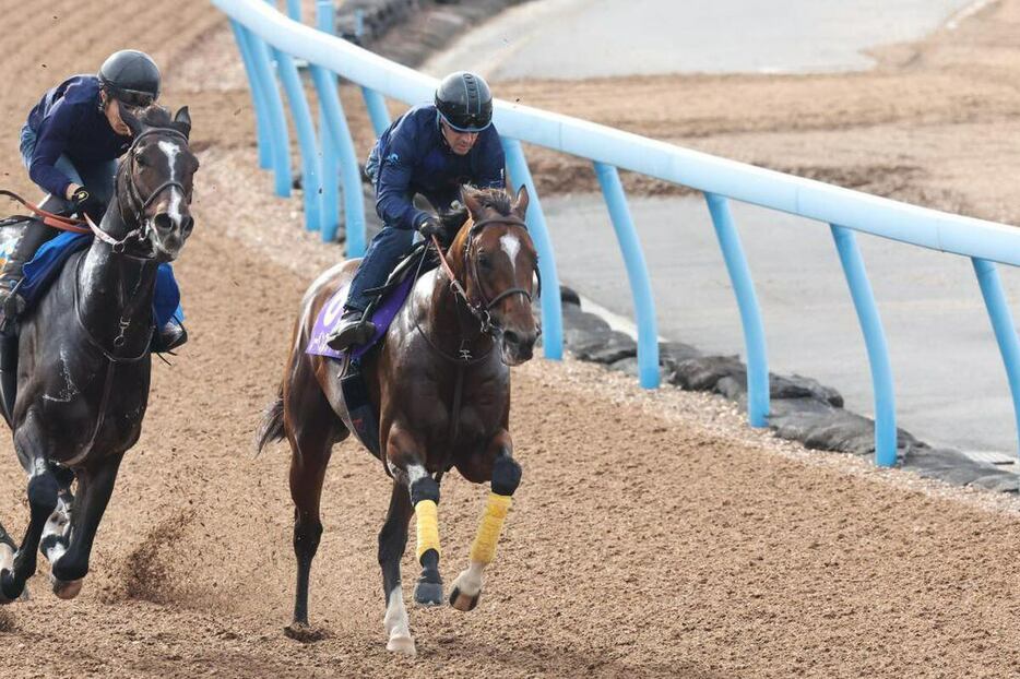 レーベンスティール（右）＝美浦トレセン（撮影・塩浦孝明）