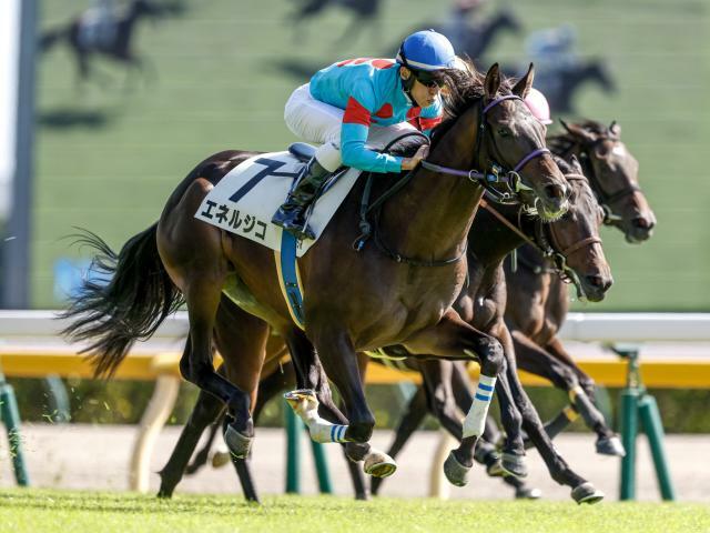 新馬戦を制したエネルジコ(撮影：下野雄規)