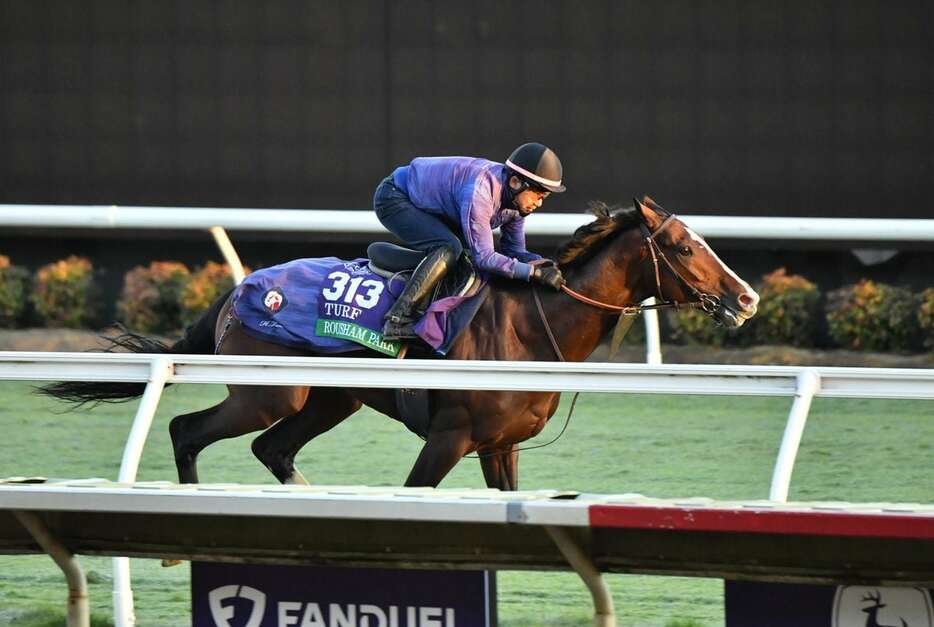 ローシャムパーク＝現地30日、米デルマー競馬場（撮影Katsumi.Saito）