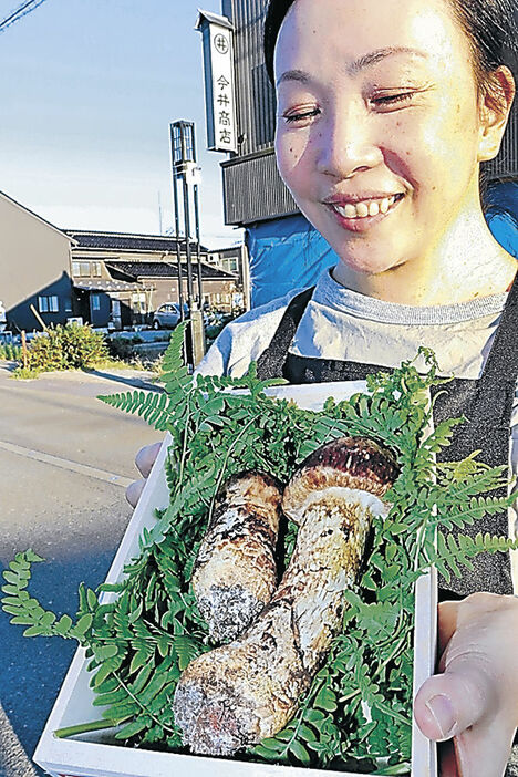 卸業者に持ち込まれたマツタケ＝珠洲市飯田町