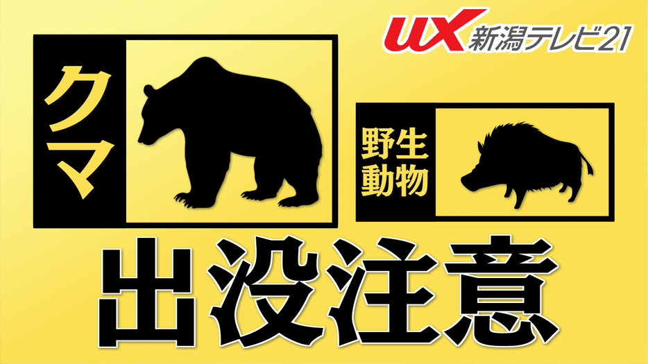 クマの目撃情報（上越市）