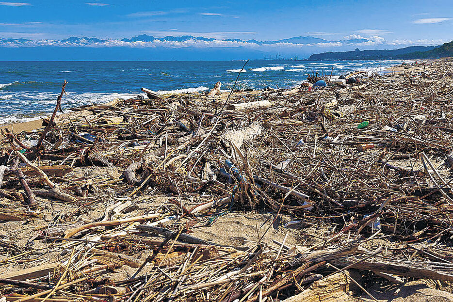 流木や木材で埋もれた海岸＝氷見市窪（上野さん撮影）