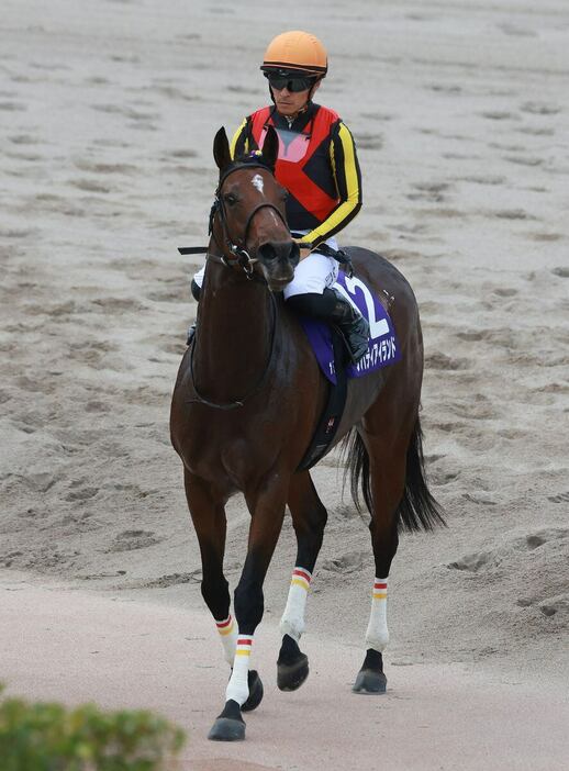 天皇賞・秋で13着に敗れたリバティアイランド（川田将雅）　＝27日、東京競馬場（撮影・尾崎修二）