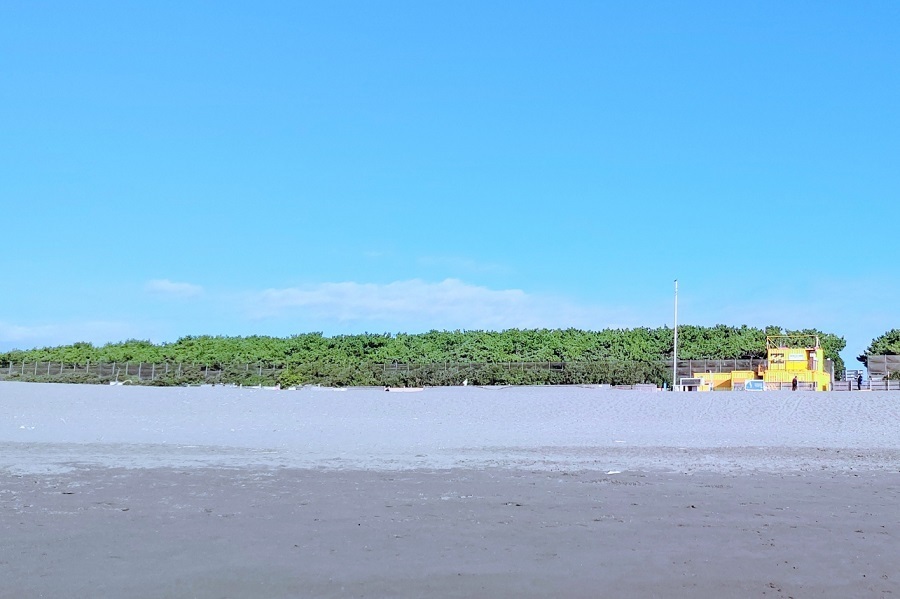 茅ヶ崎の海岸（画像：写真AC）