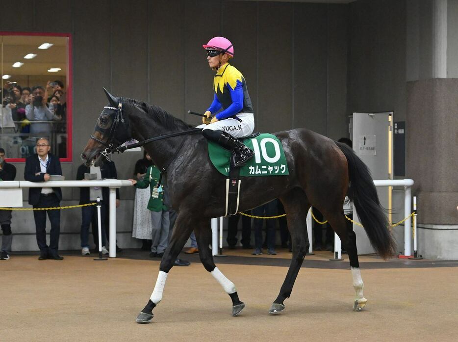 6着に敗れたカムニャック＝26日、東京競馬場（撮影・奈良武）