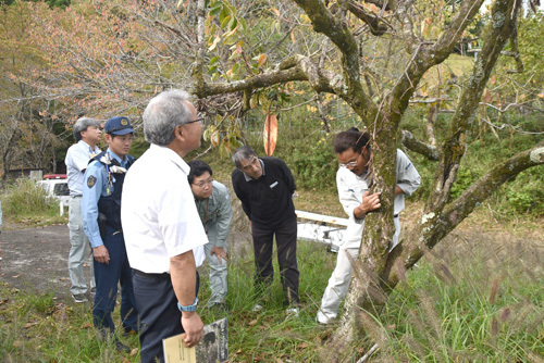 クマの爪痕を確認する地元住民たち