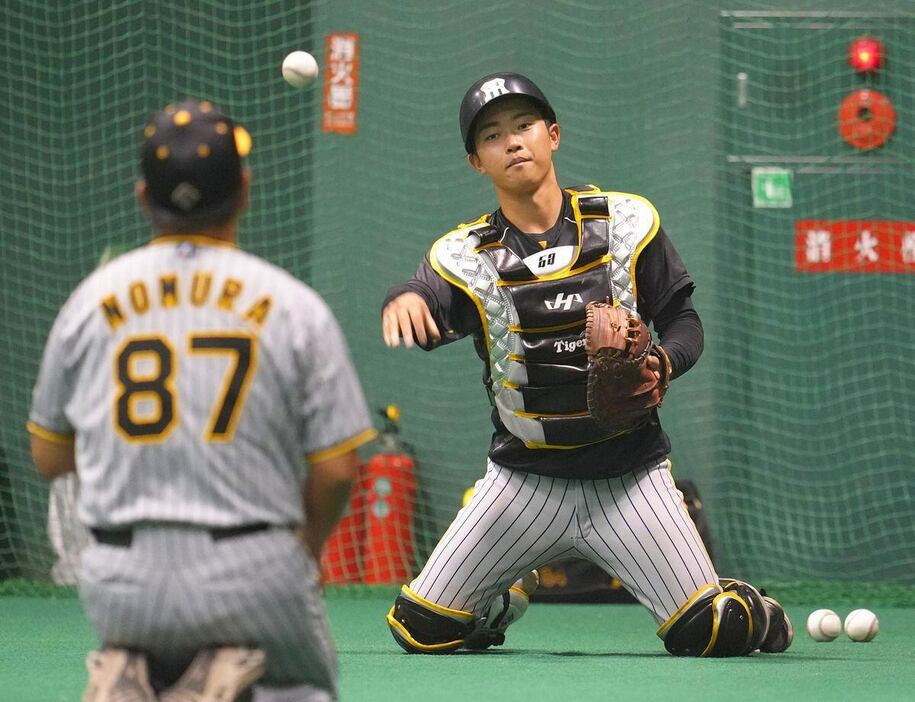 野村克則コーチと守備練習する阪神・中川勇斗＝生目の杜運動公園はんぴドーム（撮影・松永渉平)