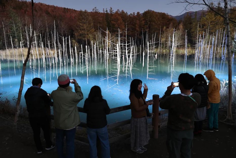 ライトアップされ、暗闇に幻想的に浮かび上がる美瑛町の観光名所「青い池」=25日午後5時（西野正史撮影）