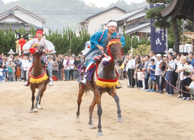 大浦神社の境内を勢いよく駆け抜ける神馬