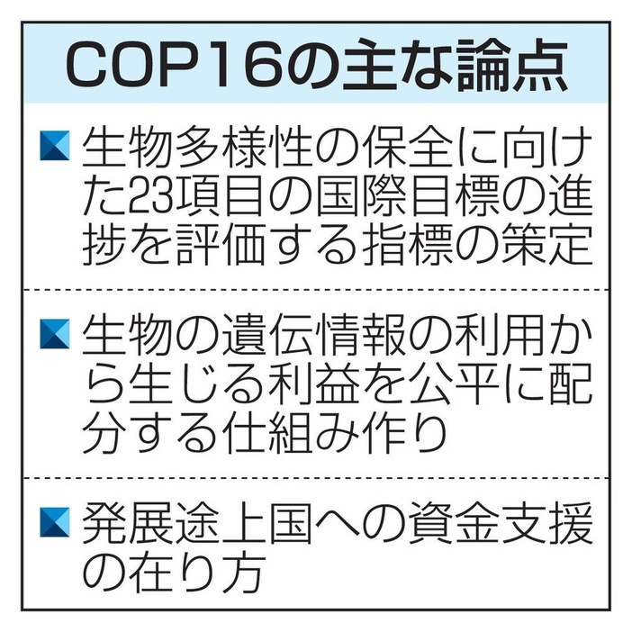 COP16の主な論点