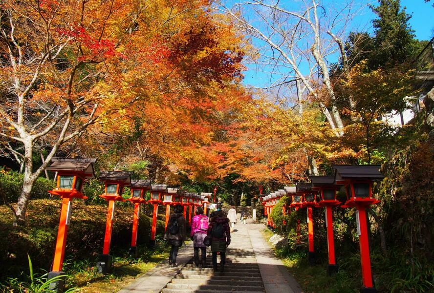 美しい紅葉を楽しめる鞍馬から貴船のハイキング（撮影：芹川ヨーコ）