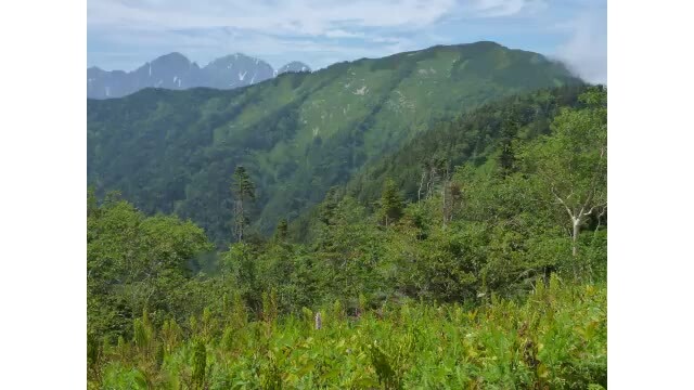 長野放送