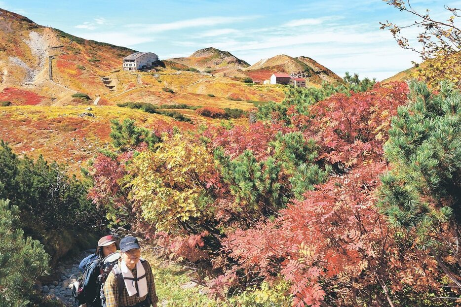 （写真：北日本新聞社）