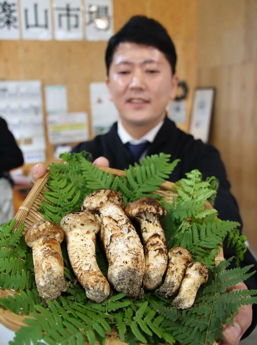 初物の丹波松茸は鮮度も香りも抜群。6本96万円で競り落とした吉村料理長は「しびれました」＝2024年10月14日午前8時13分、兵庫県丹波篠山市郡家で