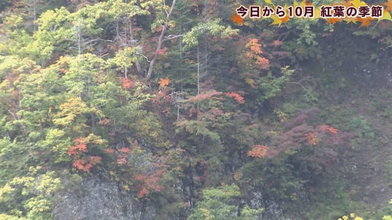 （写真：テレビ北海道）