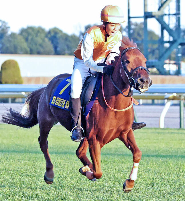 ジョッキーベイビーズ決勝戦で勝ったホタル号騎乗の梅沢怜士くん（カメラ・荒牧　徹）