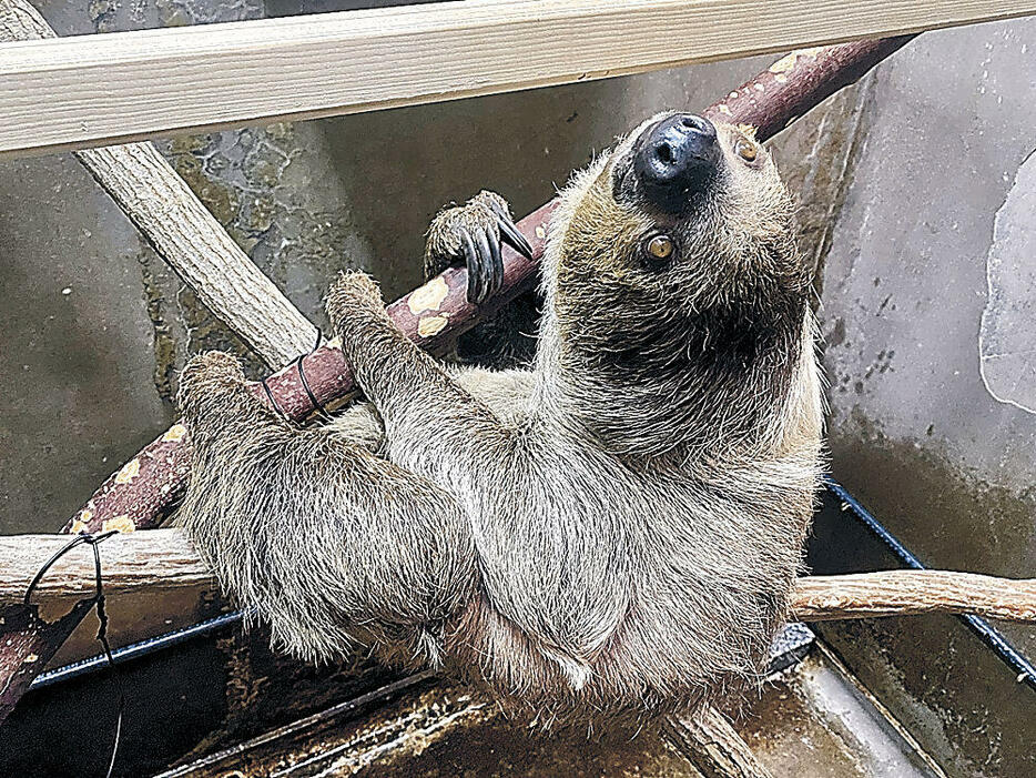 （写真：北陸新幹線で行こう！北陸・信越観光ナビ）