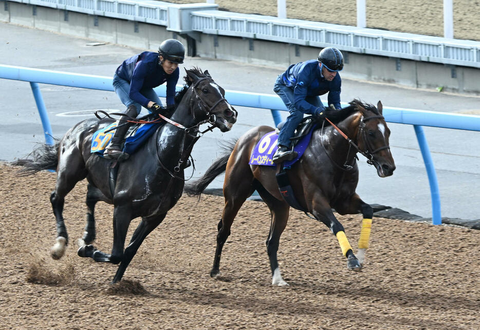 レーベンスティール（右）はルメール騎手と美浦ウッドでベジャールと併せて追い切る（撮影・千葉一成）