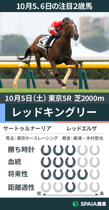 10月5日の注目2歳馬レッドキングリー