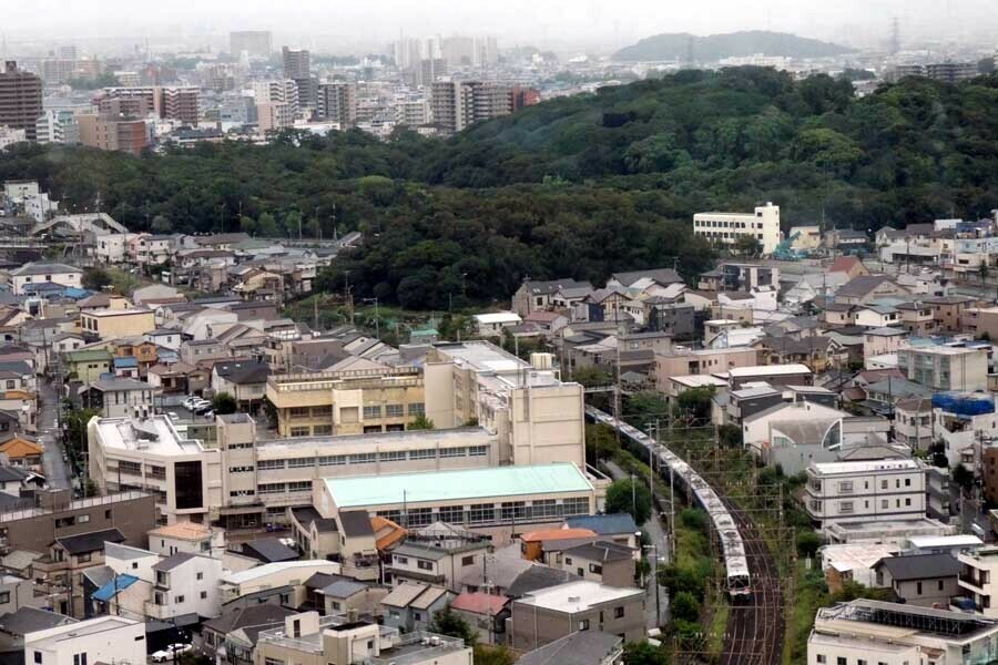 仁徳天皇古墳と電車（画像：写真AC）