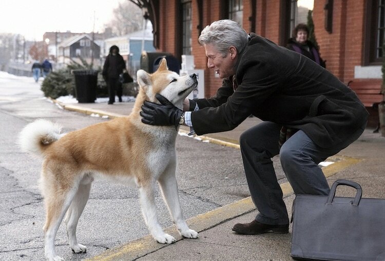 「HACHI 約束の犬」場面写真 (c)Hachiko.LLC.