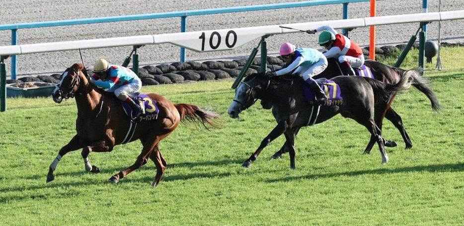 ＜京都競馬　11R菊花賞＞直線で抜け出すアーバンシック（13）　（撮影・奥　調）