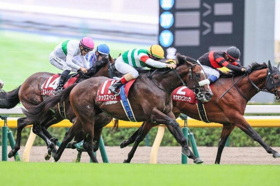 残り200mからの伸びで前を捉えた3歳馬のシックスペンス