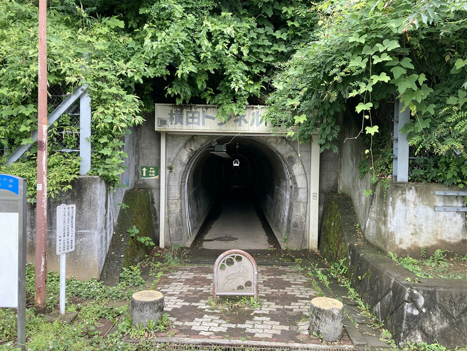 狭山丘陵のトンネル