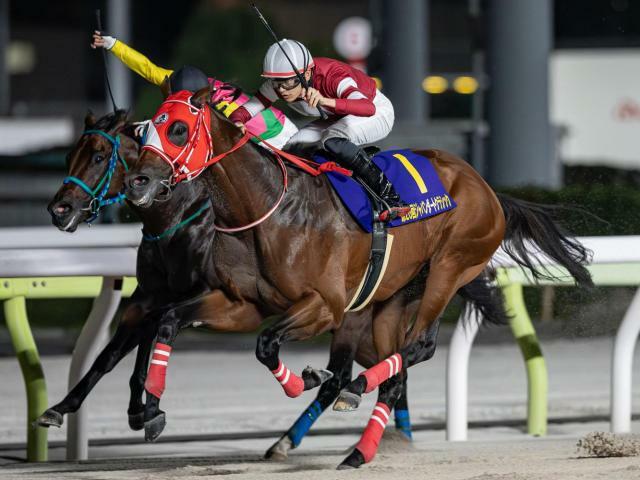 ジャパンダートクラシックを快勝したフォーエバーヤング(今年10月撮影、ユーザー提供：エアさん)