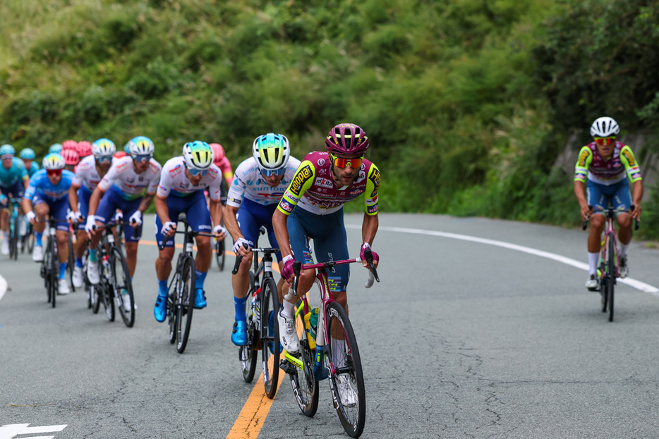 写真：Bicycle Club