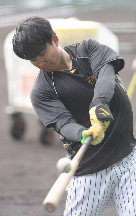 練習、阪神・森下翔太＝西宮市・甲子園球場（撮影・林俊志）