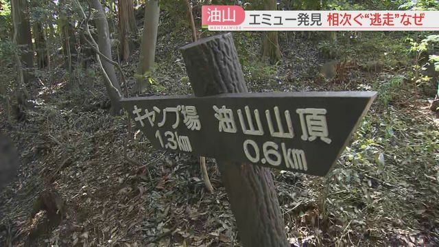 山頂まで600メートルの場所