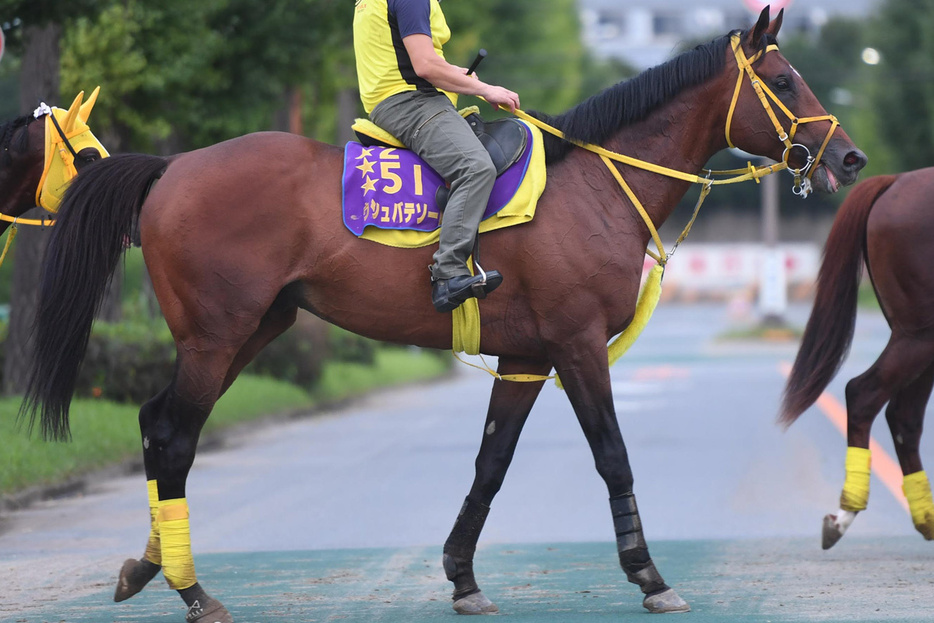 ウシュバテソーロ