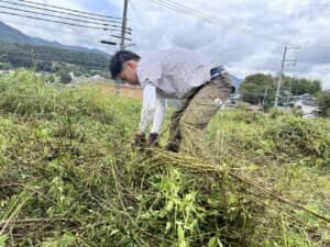 神戸市で『古代小麦プロジェクト』が遂に始動！