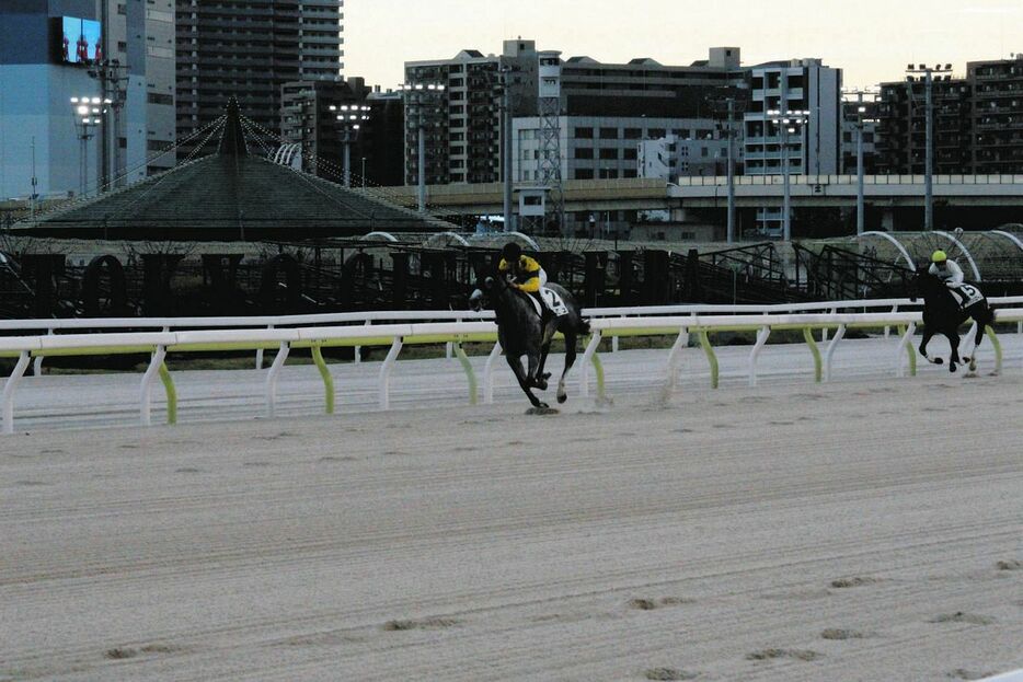 大井競馬場で行われた２頭立てのレース写真