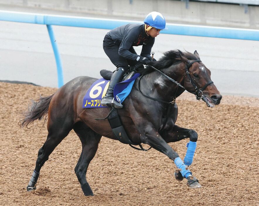 岩田康騎手を背にウッドチップコースで追われるノースブリッジ