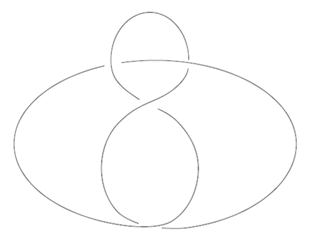 図4:8の字結び目(図版:長澤貴之)