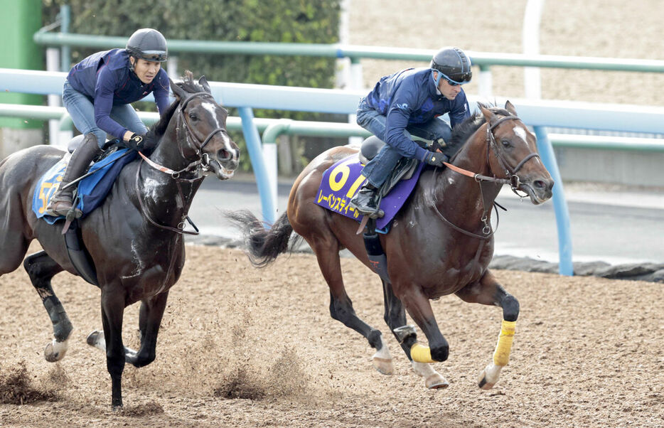 Ｗコースで追い切ったレーベンスティール（右、馬上はクリストフ・ルメール騎手）、左はベジャール（カメラ・荒牧　徹）