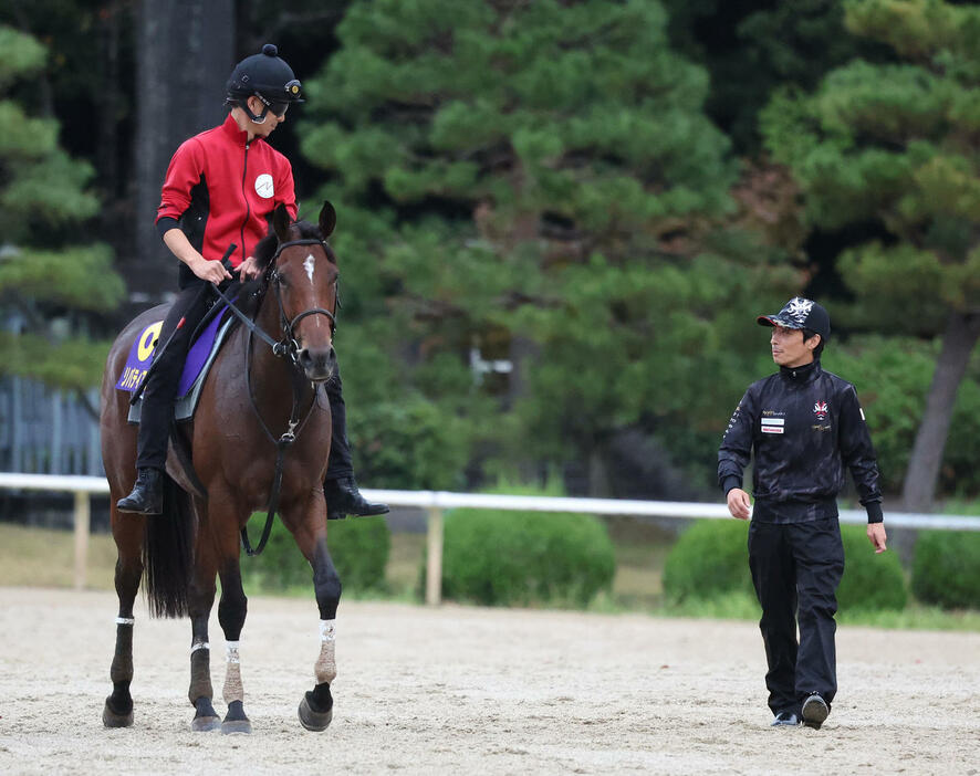 23日、調教から引き揚げるリバティアイランドの様子を伺う川田騎手（右）