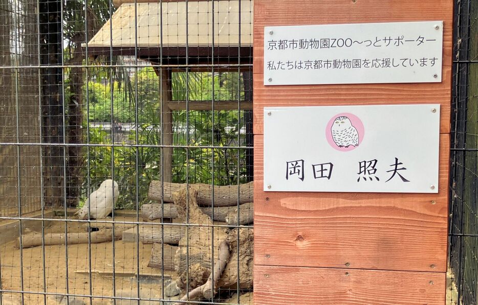 シロフクロウの前に掲げられた「岡田照夫」と記されたプレート（京都市左京区・市動物園）