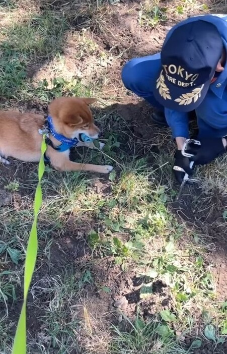 ここ掘れわんわん！（飼い主さん提供、Instagramよりキャプチャ撮影）