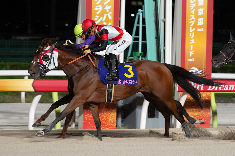 レディスプレリュード・グランブリッジと川田将雅騎手 (C)東京シティ競馬