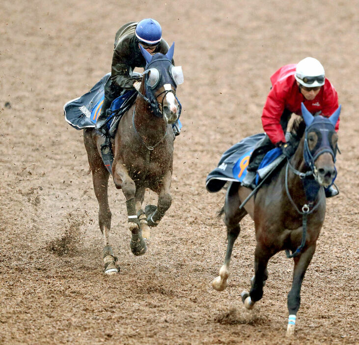 Wコースで追い切ったオメガギネス（左、カメラ・荒牧　徹）