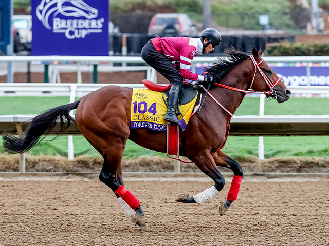 現地で調整するフォーエバーヤング Eclipse Sportswire / Breeders' Cup Photos(c)